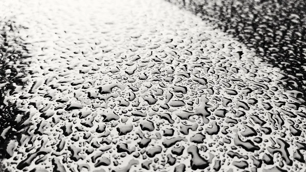 33155294634_8baffaf324_b