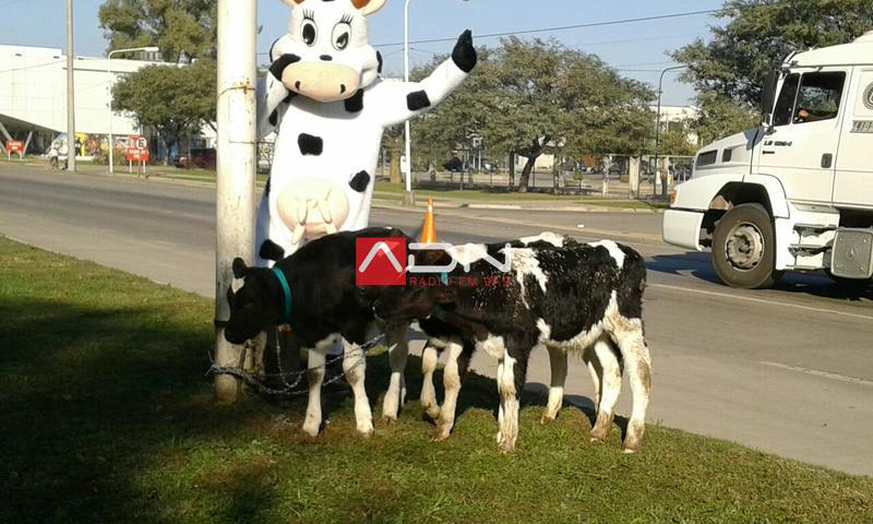 d950ead2-a4b9-4d56-aed4-e333241443d7