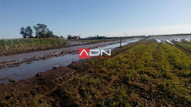 13103347_1180626015334520_6830894712007881924_n