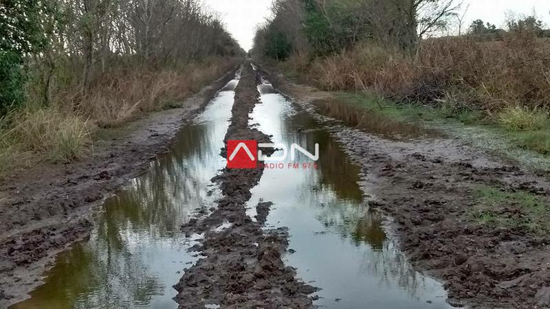 13254552_1298854030144393_2858483853487419047_n