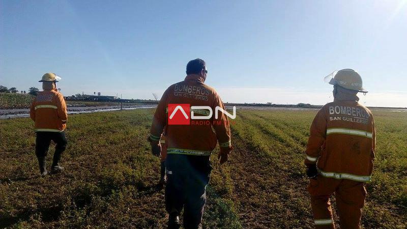 13102643_1180625748667880_2254963124962992065_n