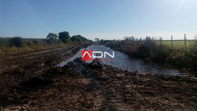 13095806_1180626088667846_76670838463239028_n