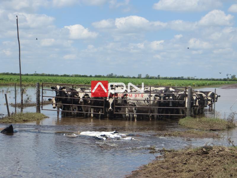 103 (R13 cerca acceso a V. San José) 120117