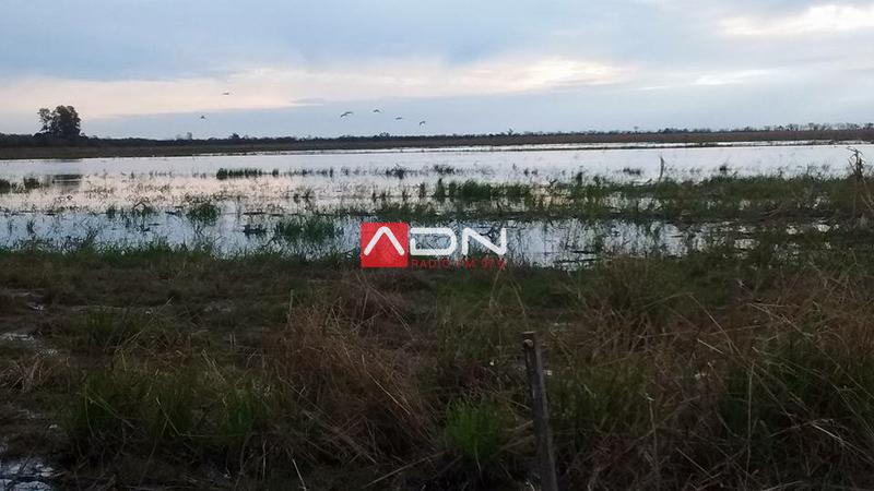 13221533_1298853576811105_948362977774355514_n