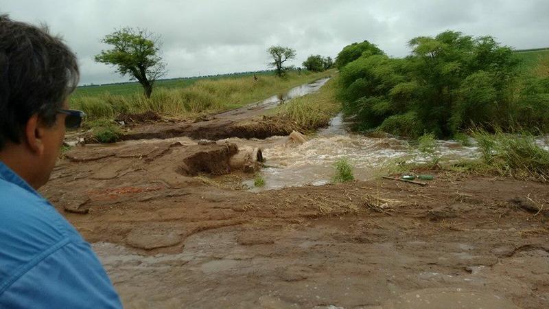 12687847_10154539488564046_8821105208740970640_n