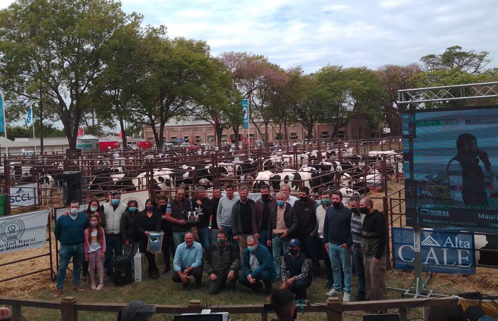 Vacas