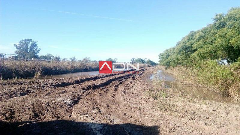 13103415_1180625772001211_1265609111519144327_n