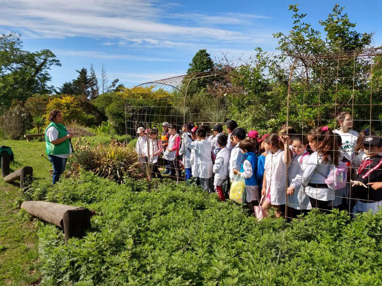 511459e3-5a1e-4982-8c11-64980989ec56