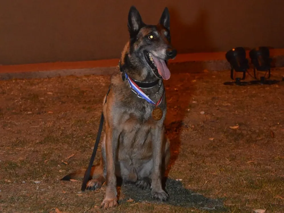 BALOO