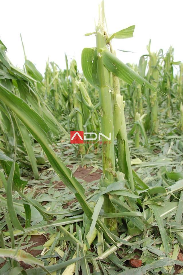 15055839_910580355739941_7656998226386787781_n