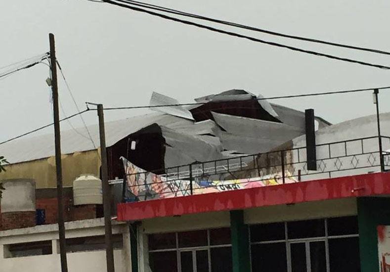 Maria-grande-2.JPG_925051666