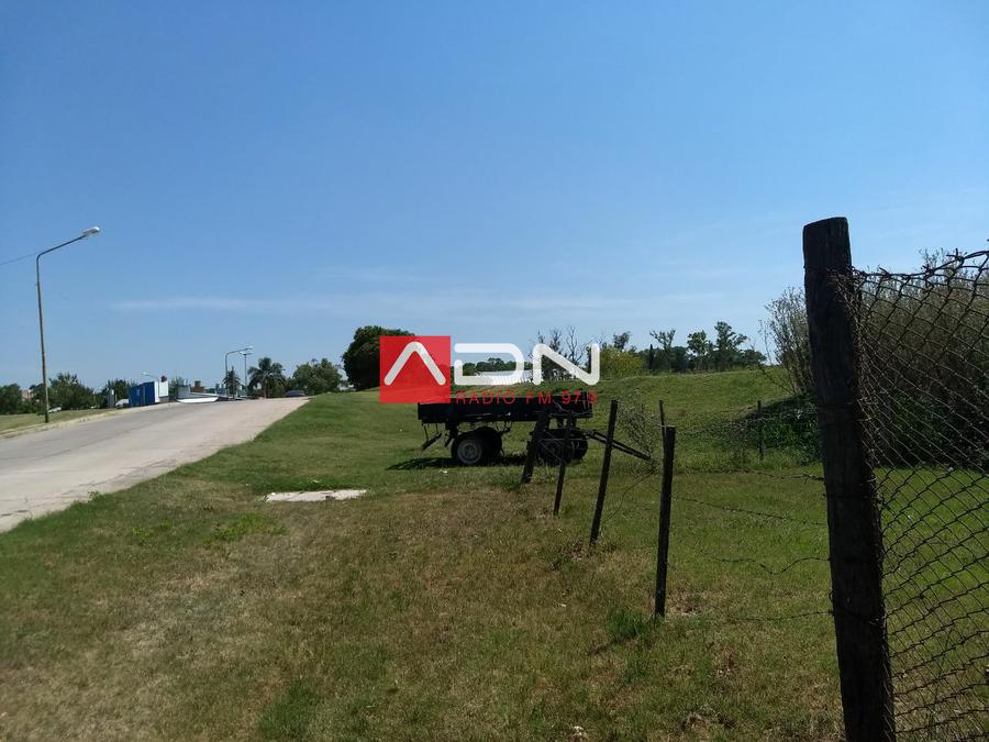 WhatsApp Image 2018-01-10 at 11.04.20 (1)