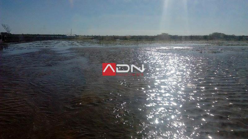 13076675_1180625955334526_7412004503588693938_n