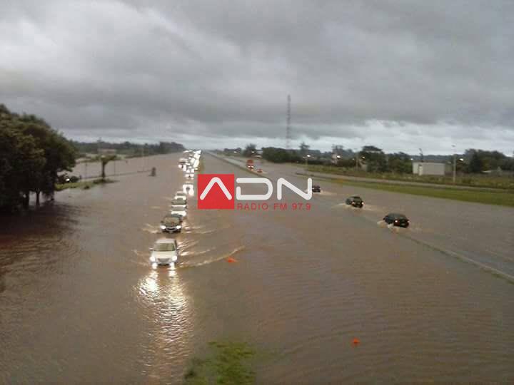 15965255_406635336348498_3502252466765005992_n