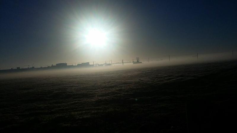 WhatsApp-Image-20160621 (1)