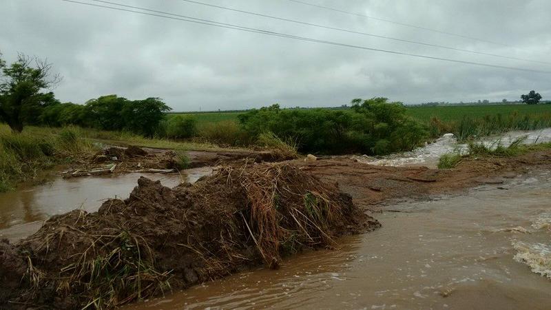 12728955_10154539488344046_7588454283797060742_n