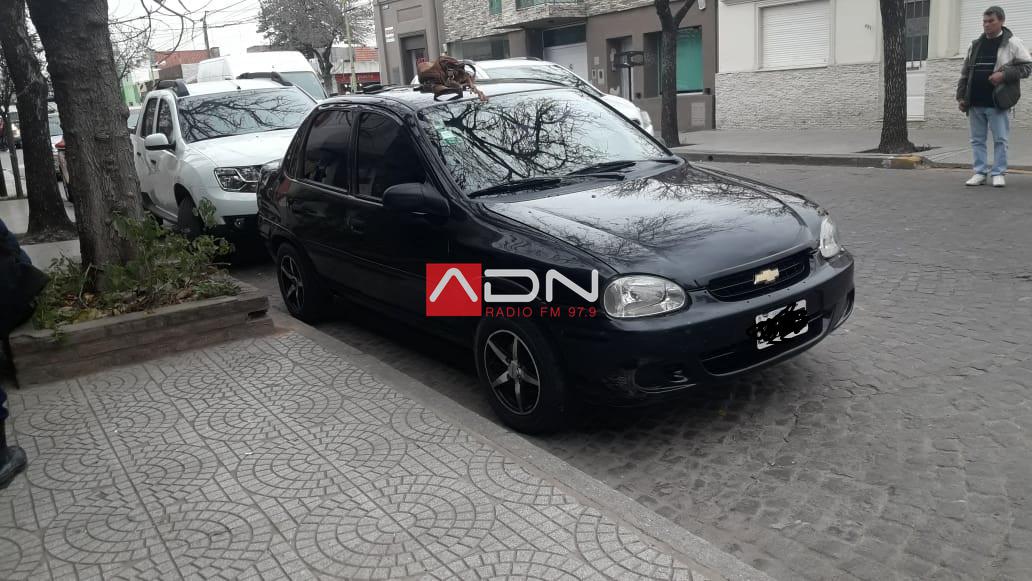 WhatsApp Image 2018-07-06 at 10.39.08 (1)