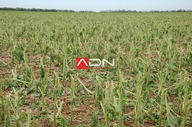 15036241_910580165739960_4950778790346199395_n