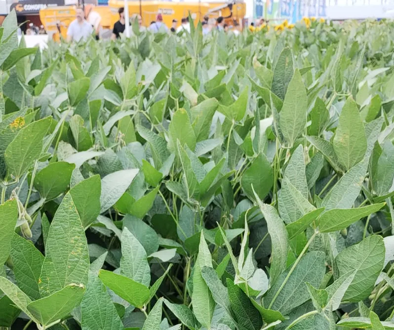 Captura de pantalla 2026-03-14 173053