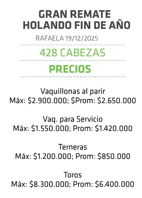 Captura de pantalla 2025-12-20 110429