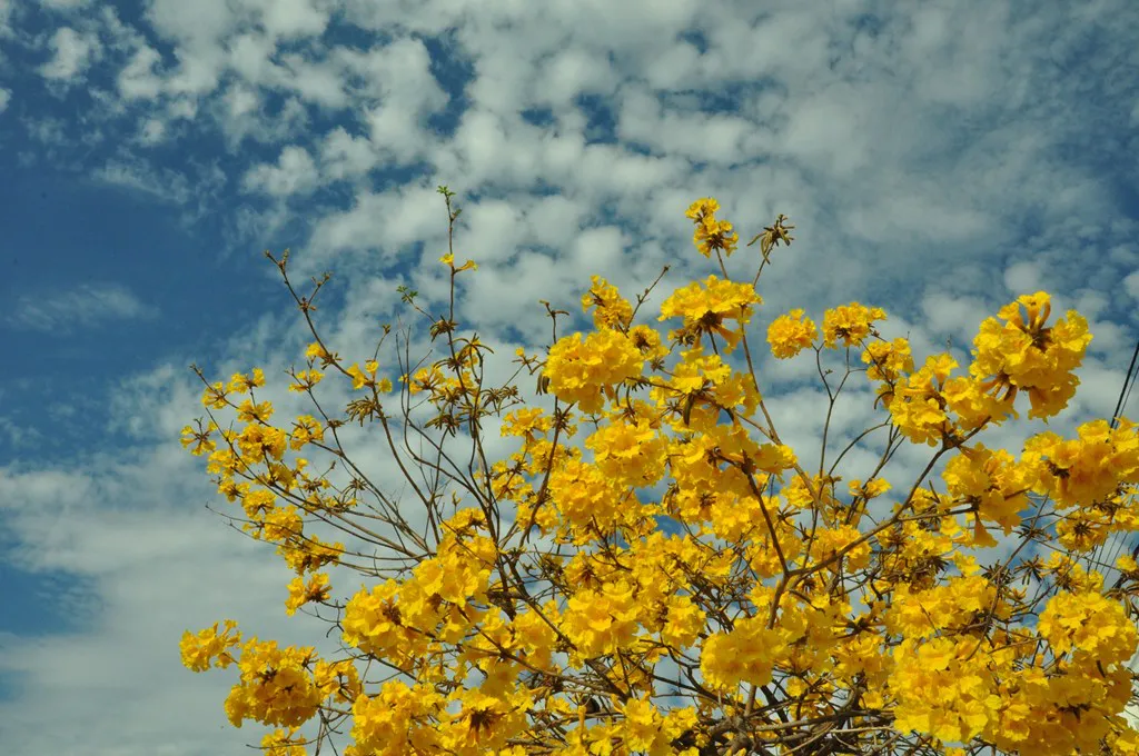 Arc_18538 (2)