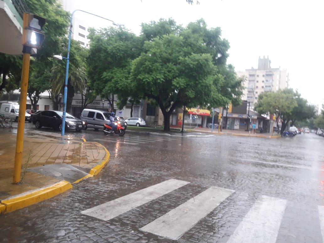 99fe63e8-db34-4385-8d18-c286457a4b6f