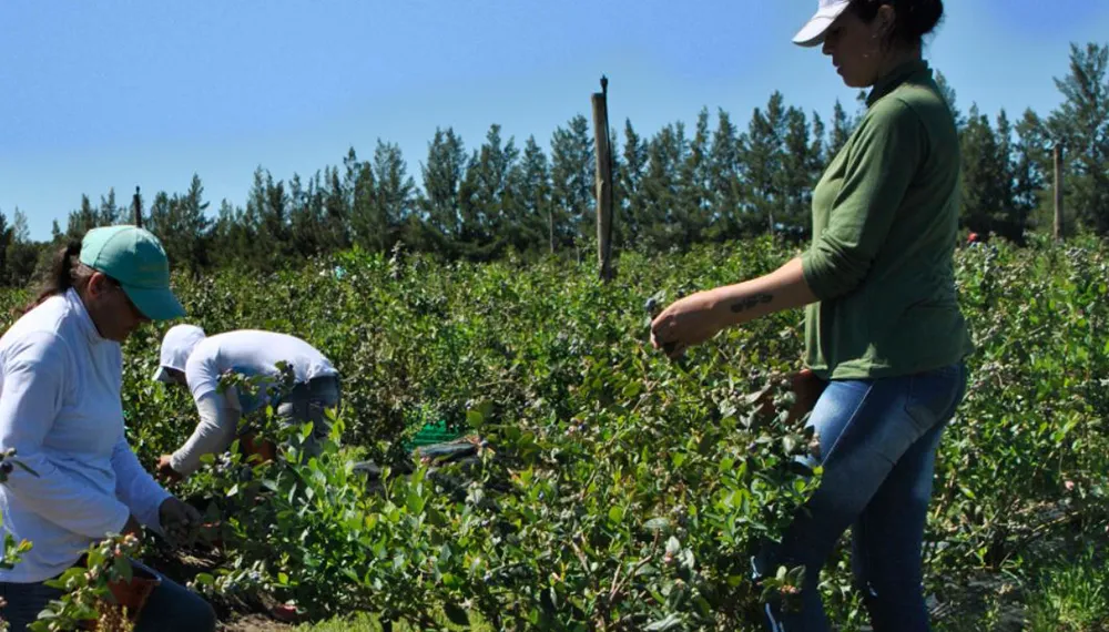 trabajadores-rurales