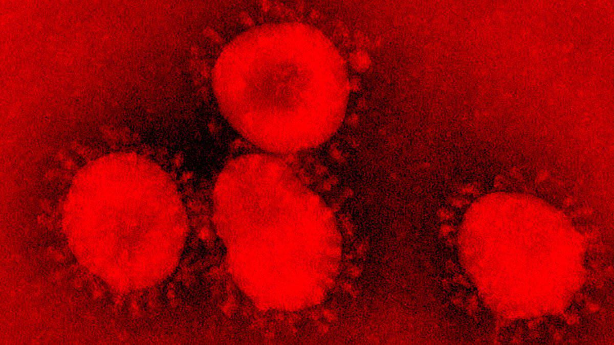 coronavirus-1580229274318