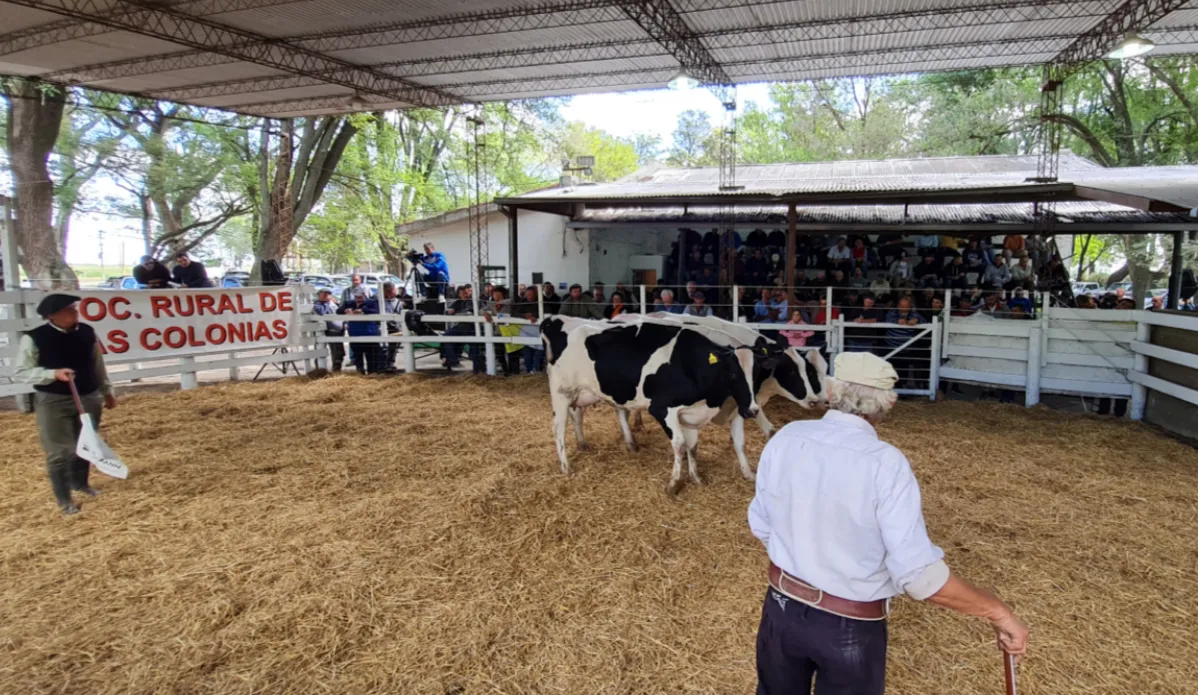 Captura de pantalla 2024-01-08 205406