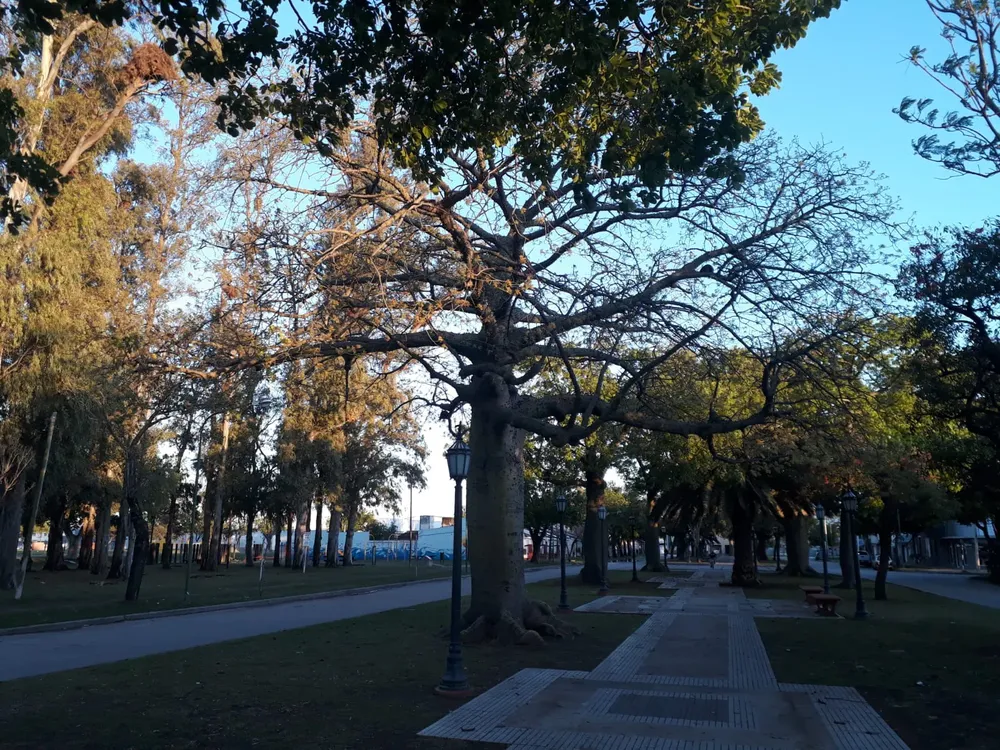 Amanecer despejado 10