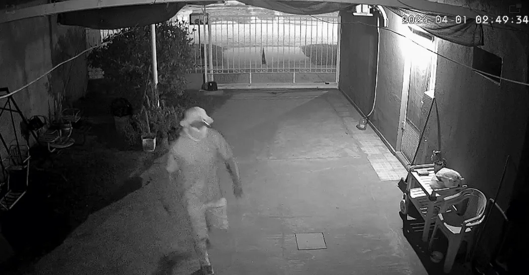 Captura de pantalla 2026-04-01 151835