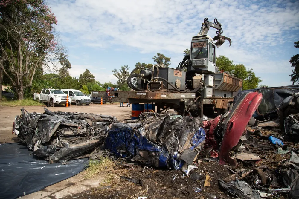 WhatsApp Image 2025-01-27 at 1.15.42 PM