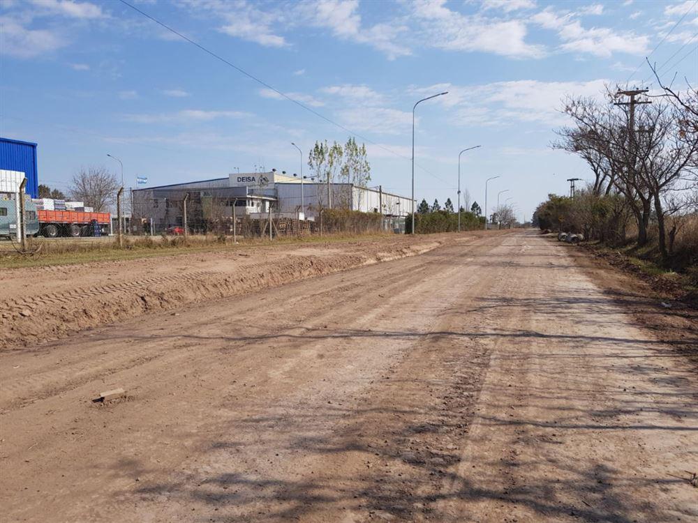 camino 6