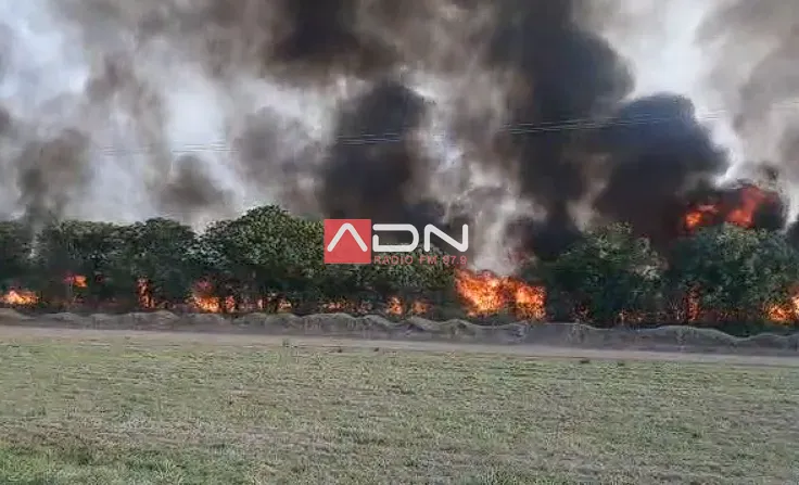 Captura de pantalla 2024-09-30 192906