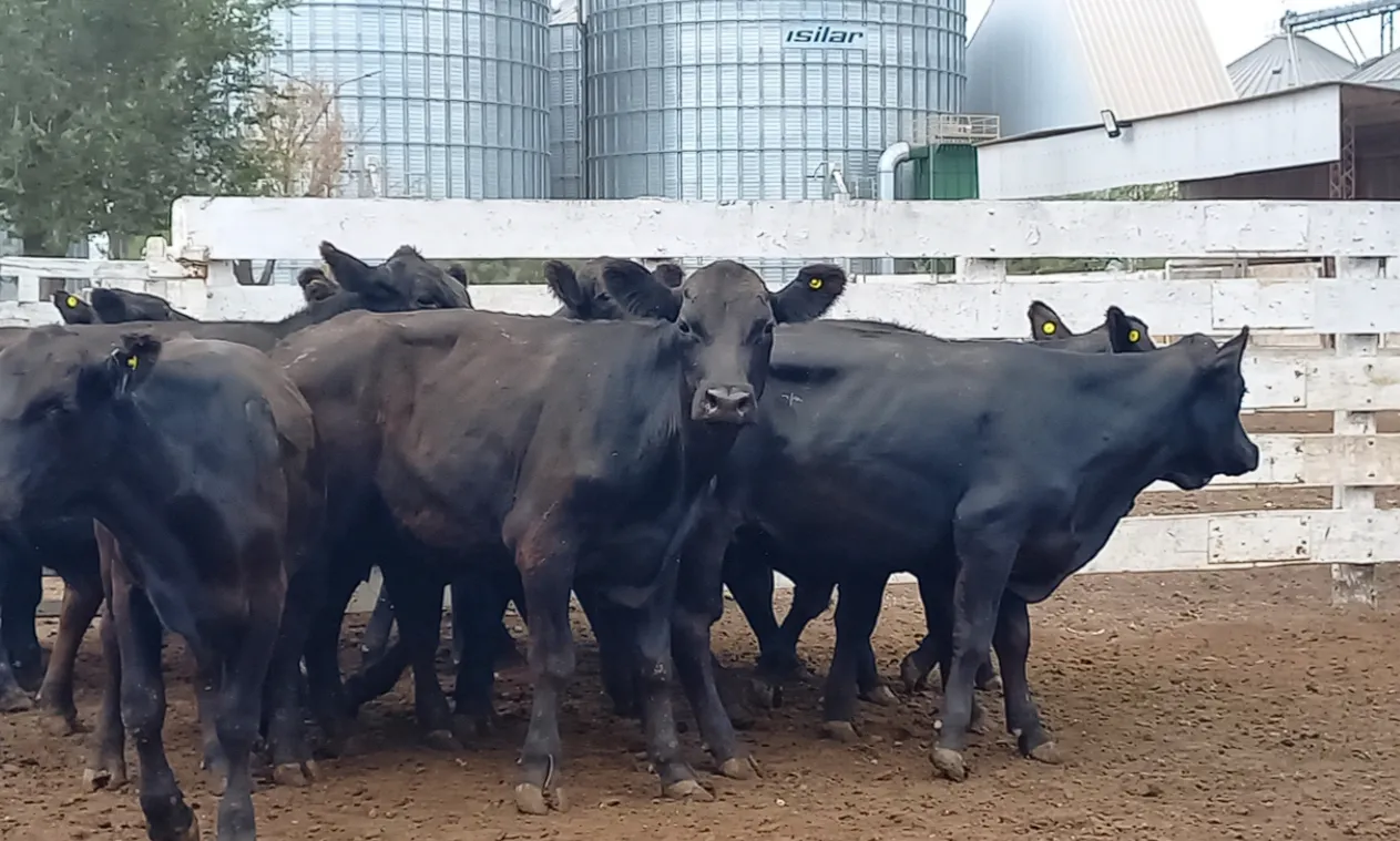 Captura de pantalla 2024-02-02 101936