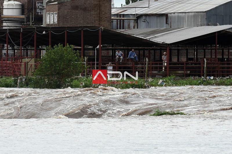 15976939_1950351821842990_2394338525412554062_n