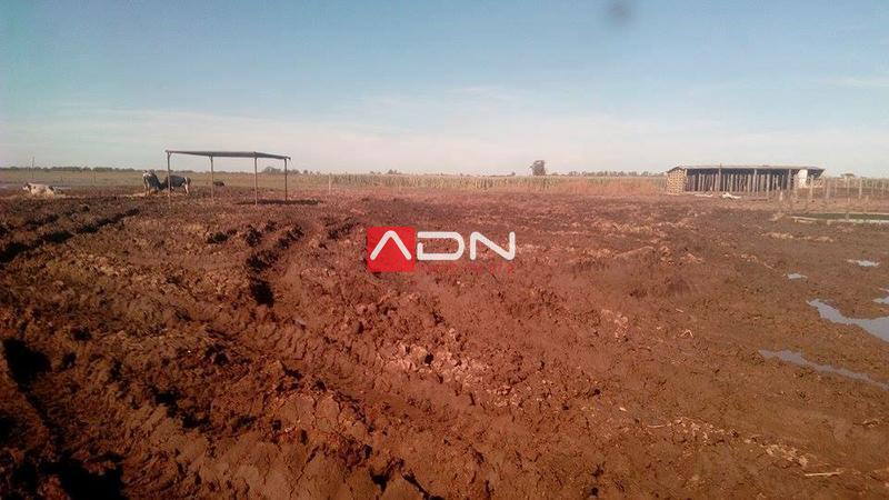 13083322_1180625875334534_4677942537968319121_n