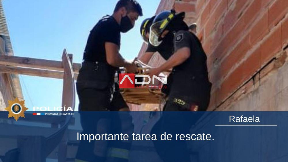 tarea