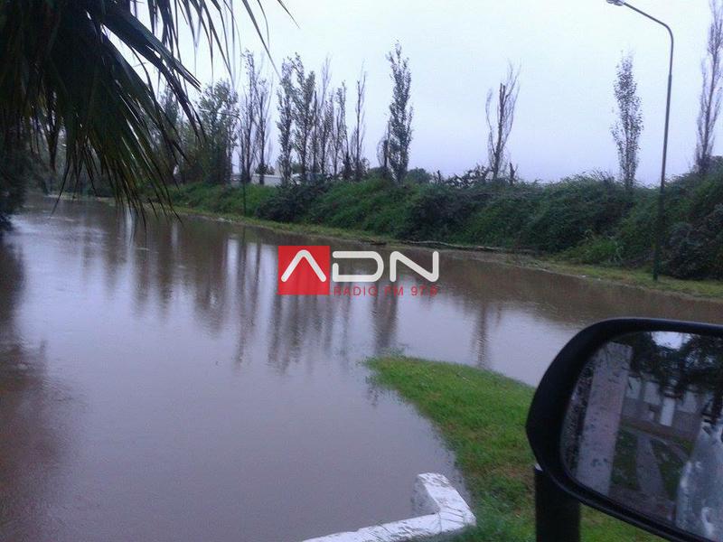 12939280_10206086213534718_1888636112_n