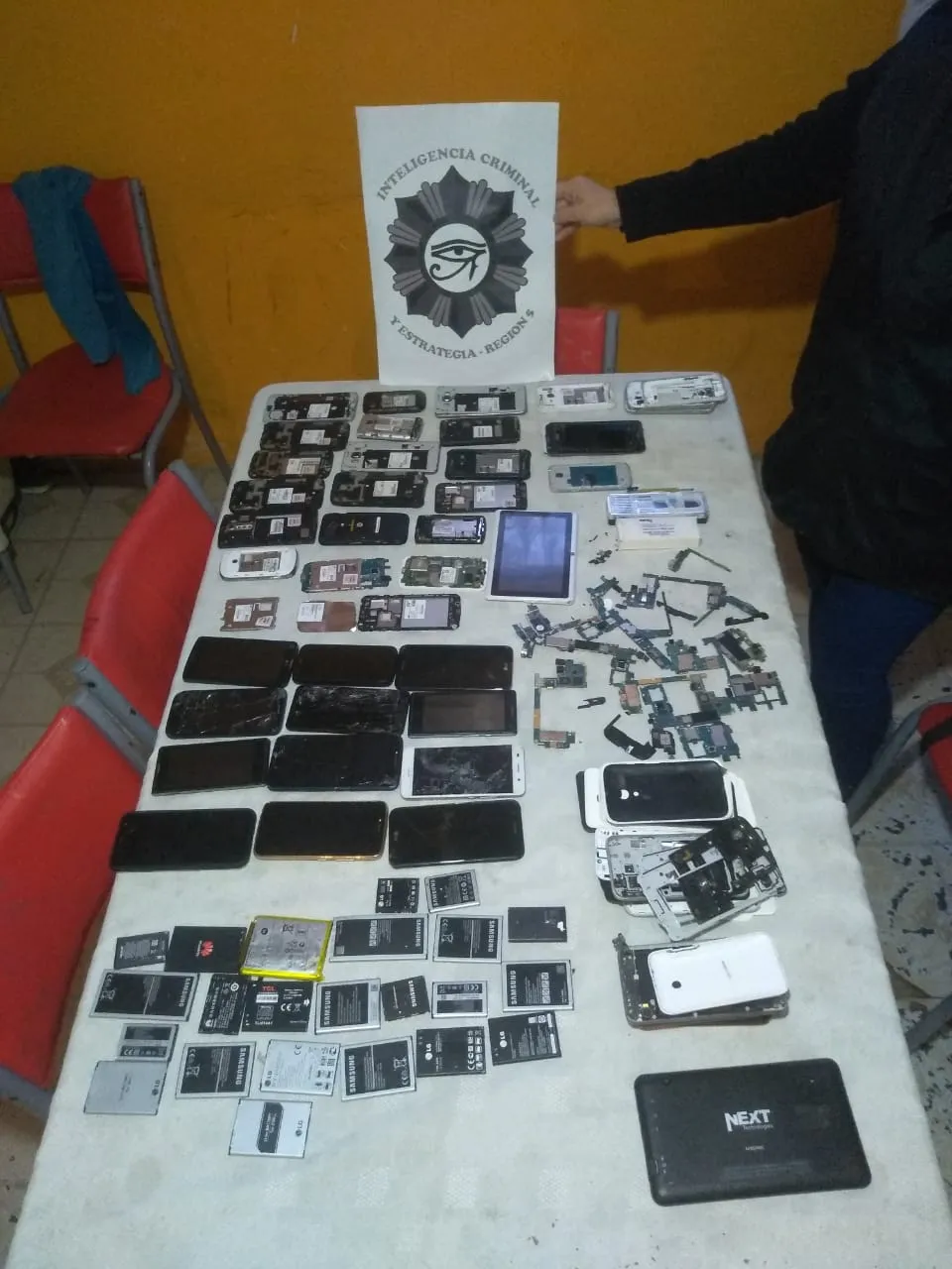 multimedia.normal.9890aa0fc5d1f1d8.30312d63656c756c617265735f6e6f726d616c2e6a7067