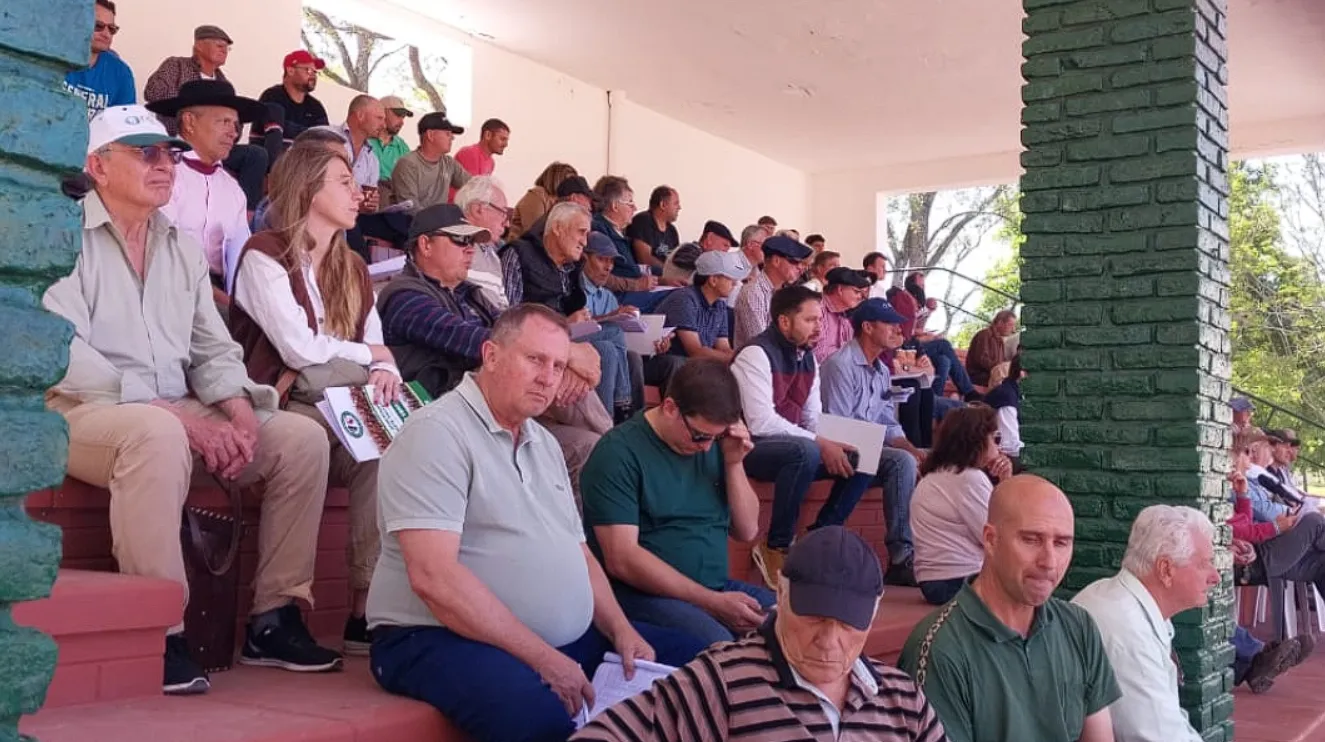 Captura de pantalla 2025-09-25 141703