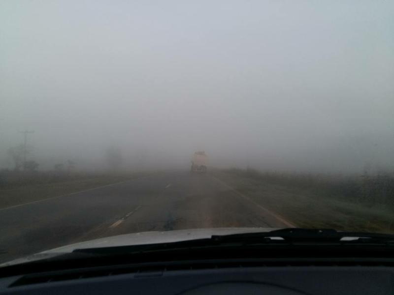 13103527_10208954059625783_1493607544666322363_n