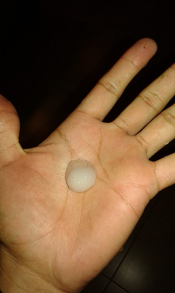 11229831_10207039471478947_8147112231480447258_n