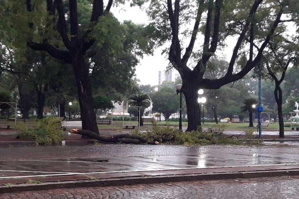 Plaza