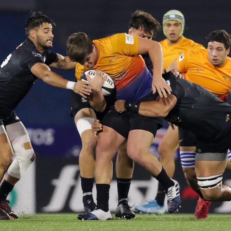 jaguares