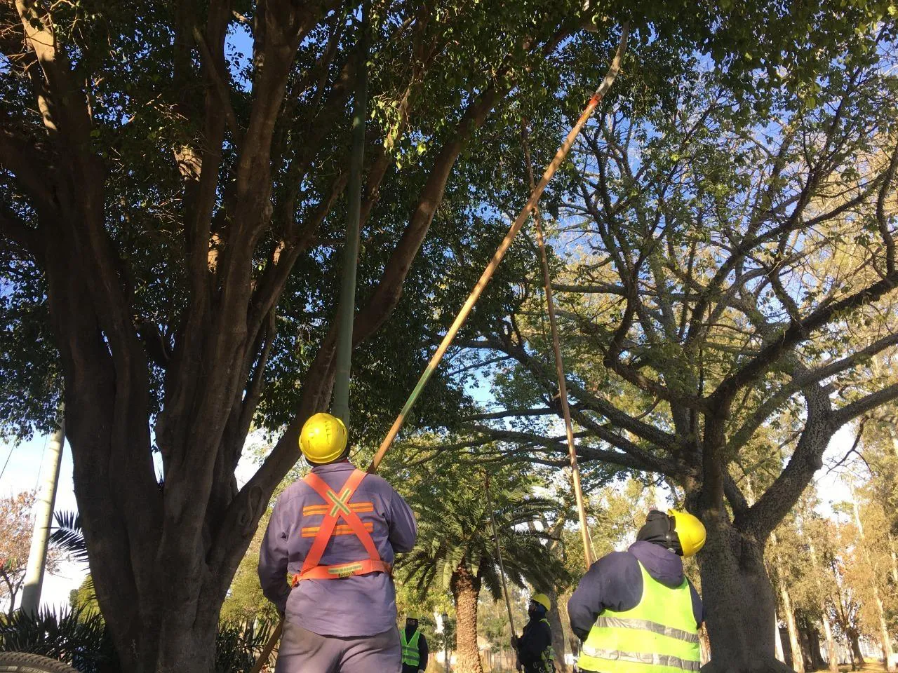 c88e4fe3-9f2e-401d-842d-1be0daf50f52