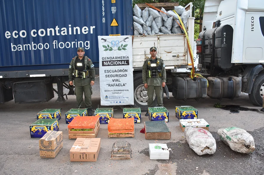 Captura de pantalla 2026-02-12 191146