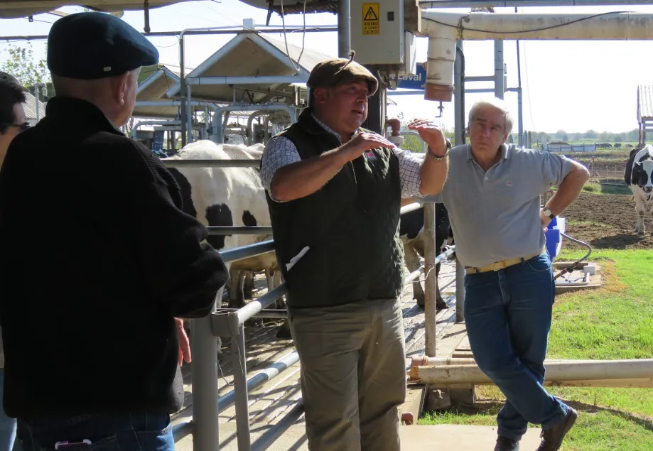 Captura de pantalla 2023-05-17 191215