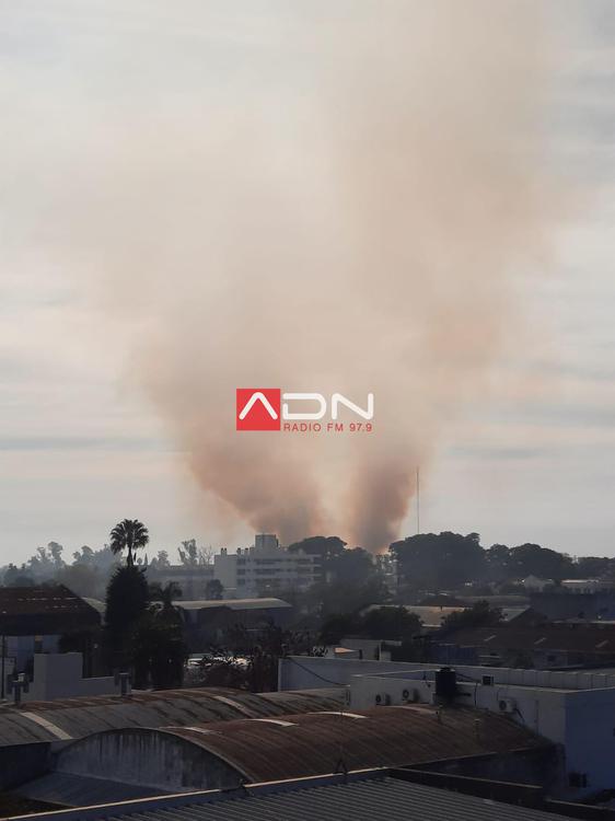 humo