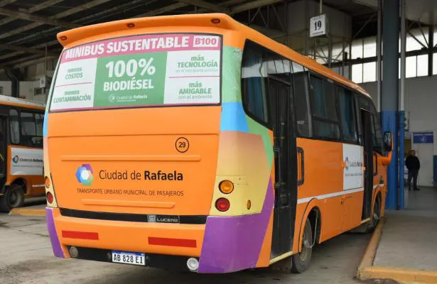 minibuses